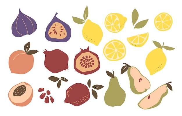 천연 열대 과일의 추상적이고 현대적인 세트입니다. 낙서 레몬, 배, 복숭아, 무화과, 석류, 비타민. 비건 주방, 유기농 과일 또는 채식 음식. 벡터 손으로 그린 평면 그림
