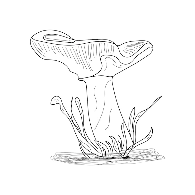 Абстрактные грибы линии искусства символ осеннего леса и урожая