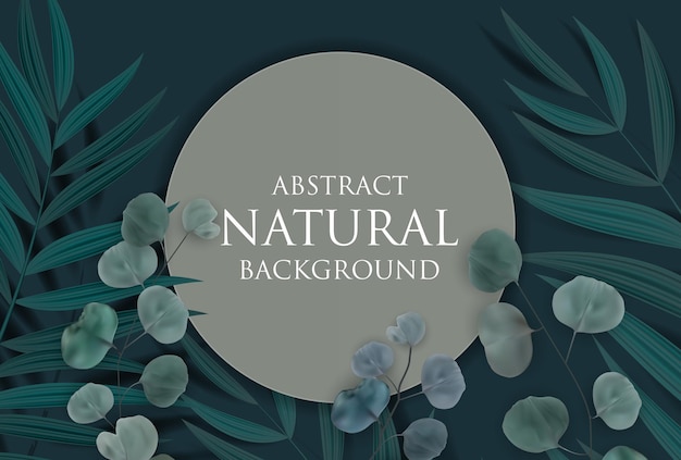 Vector abstract natural background with frame, tropical palm, eucalyptus,monstera leaves