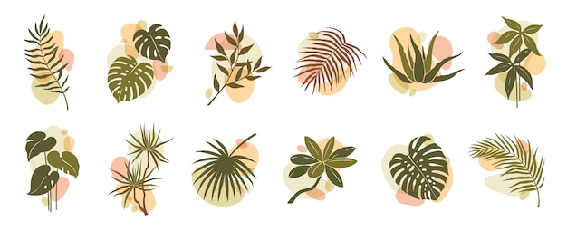 Vector abstract organic boho leaf and plant shapes set