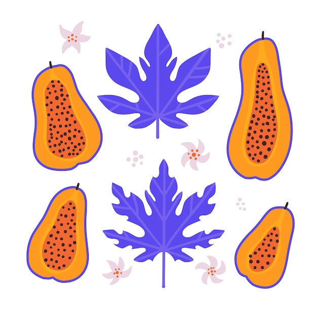 Abstract papaya set half of juicy tropical fruit leaves flowers vector hand drawn isolated illustration