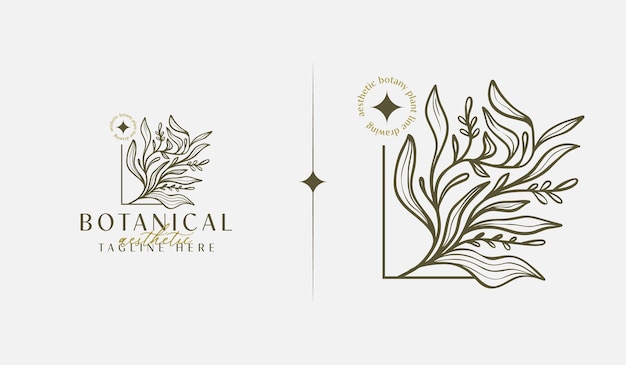 Abstract Plant Botanical Flower Line Art Line Drawing Universal creative premium symbol Vector illustration Creative Minimal design template