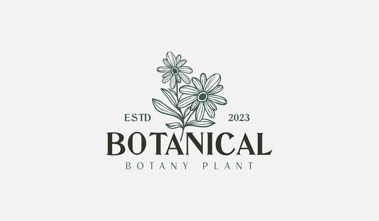 Abstract Plant Botanische Bloem Lijntekeningen Lijntekening Universeel creatief premium symbool Vector illustratie Creatief Minimaal ontwerpsjabloon