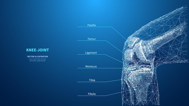 Ginocchio poligonale astratto su sfondo blu concetto di innovazione tecnologica della medicina infografica