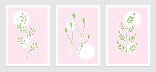 Abstract posters set with plant elements and geometric shapes Botanic vector illustration of twigs Concept for interior design in pink green colors