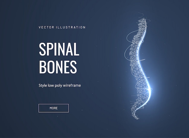 Abstract profile illustration of the spine