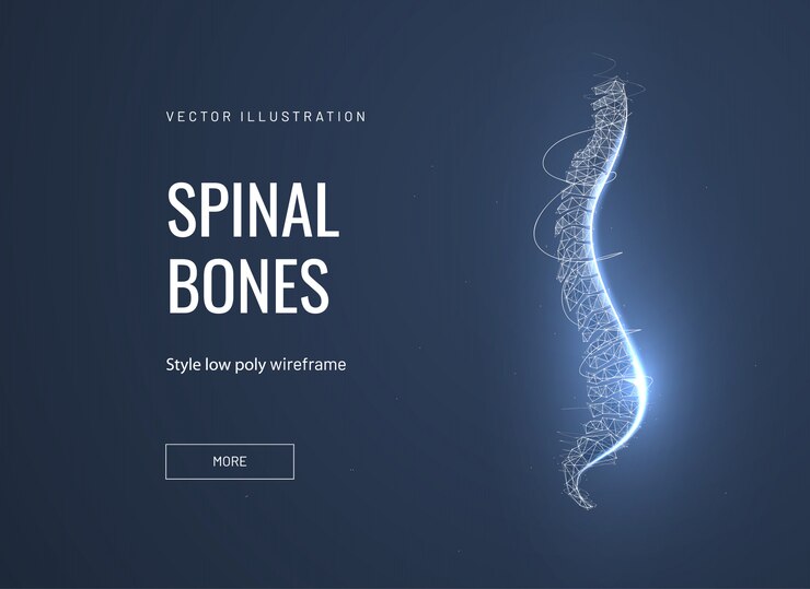 Vector abstract profile illustration of the spine