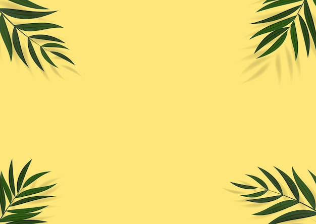 Vector abstract realistic green palm leaf tropical background.