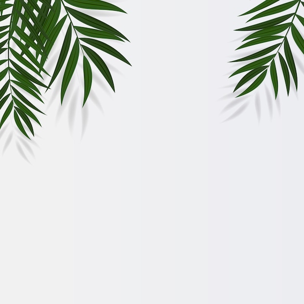 Abstract realistic green palm leaf tropical background.