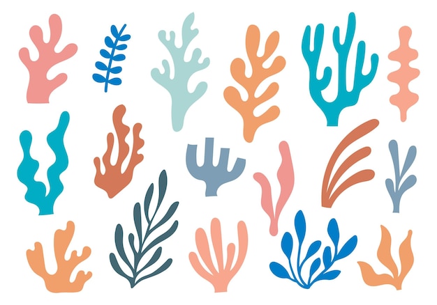 Abstract Seaweed Shape Aesthetic Element Vector Illustration