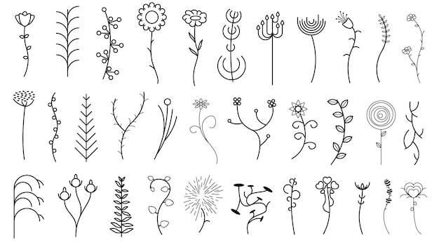 Abstract Set Doodle Elements Hand Drawn Collection Botanic Herbal Flora Leaf Branch Vine Flower Plan