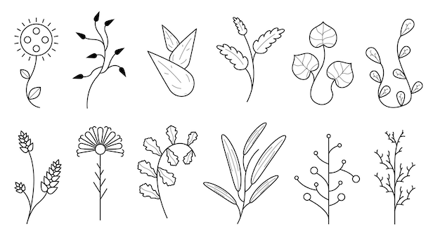 Abstract Set Doodle Elements Hand Drawn Collection Botanic Herbal Flora Leaf Branch Vine Flower Plan