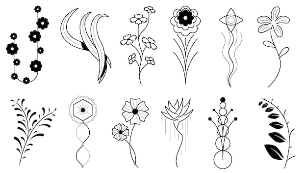 Abstract Set Doodle Hand Drawn Collection Botanic Herbal Flora Leaf Branch Vine Flower Plants