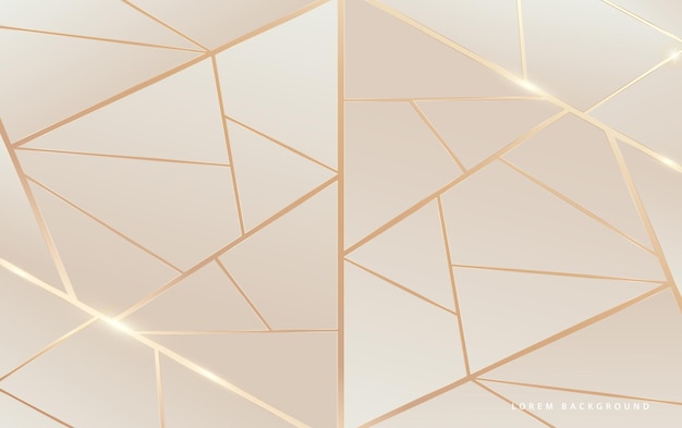 Vector abstract soft color layered background with luxury gold lines