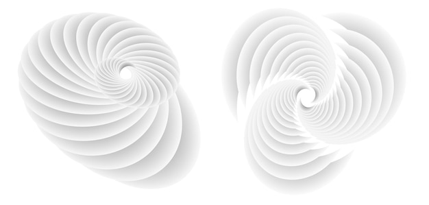 트위스트 라인의 흰색 배경에 추상 나선형 토르 디자인 요소 벡터 일러스트 레이 션 우아한 명함 배경 이벤트 파티 전단지 바다 팀 바다 껍질에 대 한 아이콘 뷰티 살롱에 대 한 10 분기