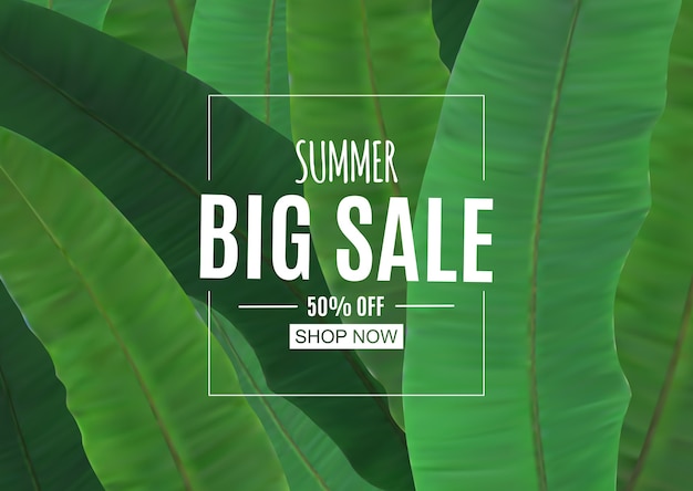 Abstract summer sale background with palm leaves.