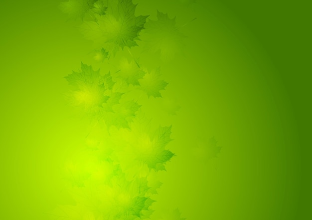 Vector abstract summer vector background with green leaves