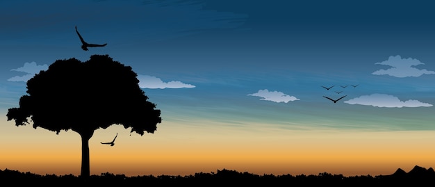 Vector abstract sunset with nature background