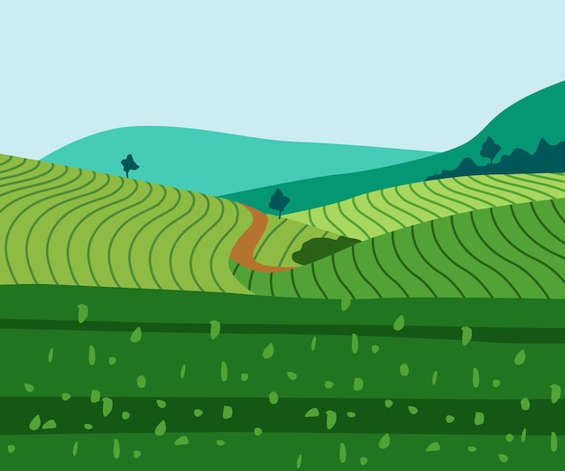 Vector abstract tea plantation vector design