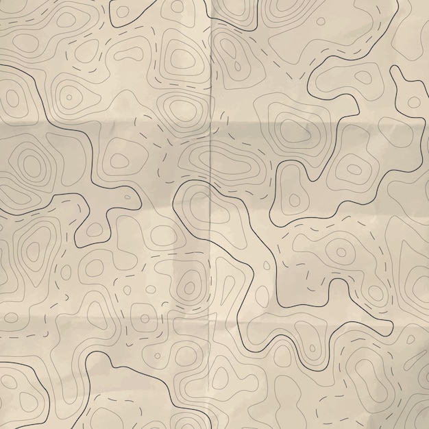 Vector abstract topographic line map.