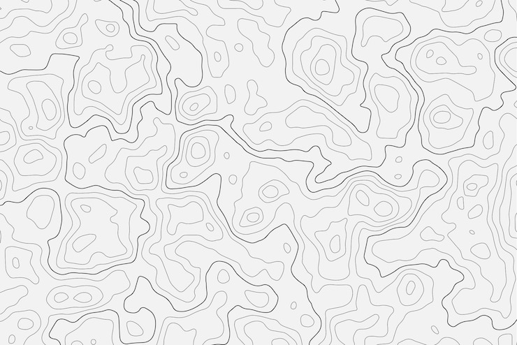 Vector abstract topographic map background geographic grid topographic line wallpaper wavy outline texture on white background