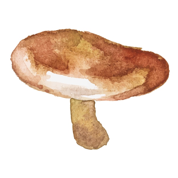 Abstract vector aquarel illustratie van herfst paddestoelen Hand getrokken natuur ontwerpelementen geïsoleerd op een witte achtergrond