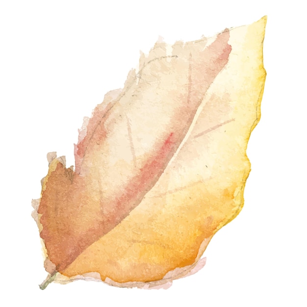 Abstract vector aquarel illustratie van herfstbladeren Hand getrokken natuur ontwerpelementen geïsoleerd op een witte achtergrond