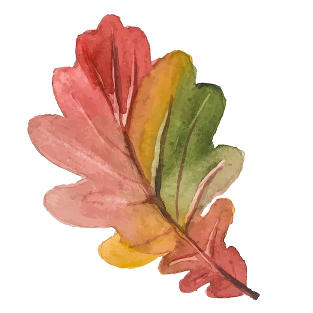 Abstract vector aquarel illustratie van herfstbladeren Hand getrokken natuur ontwerpelementen geïsoleerd op een witte achtergrond