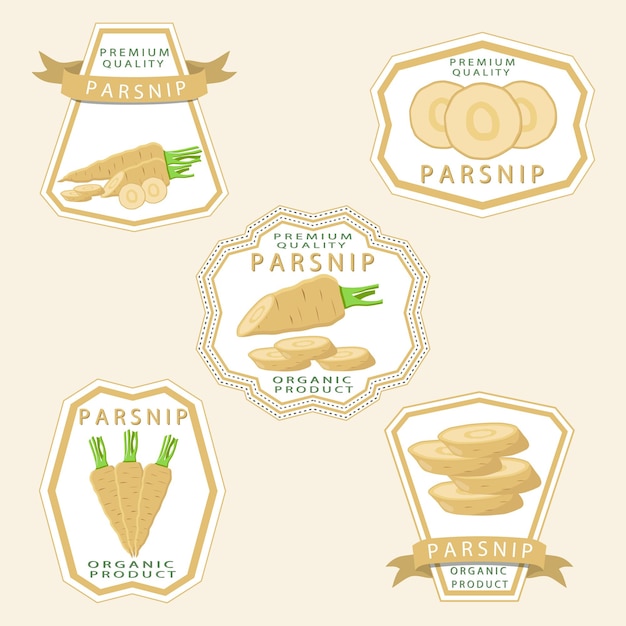 Vector abstract vector icon illustration logo for whole ripe vegetable yellow parsnip sliced carrot on background parsnip pattern consisting of label vegetables raw sweet food carrots eat fresh parsnips