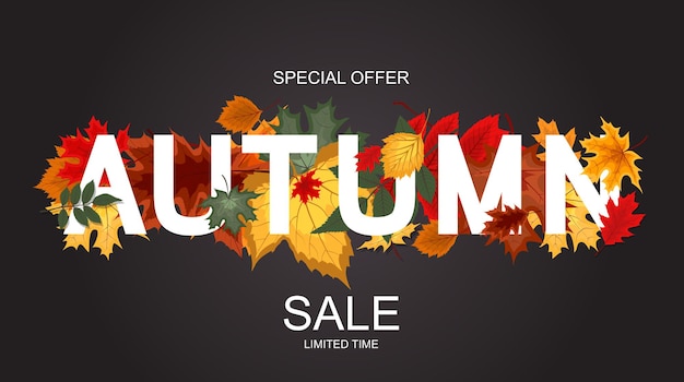 Abstract Vector Illustration Autumn Sale Background with Falling Autumn Leaves. EPS10