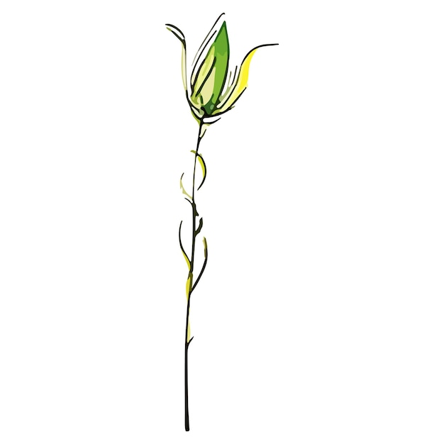 벡터 초원 꽃의 추상적 인 벡터 일러스트 레이 션 자유형 잉크 및 색상 스타일 디자인 요소 흰색 배경에 고립