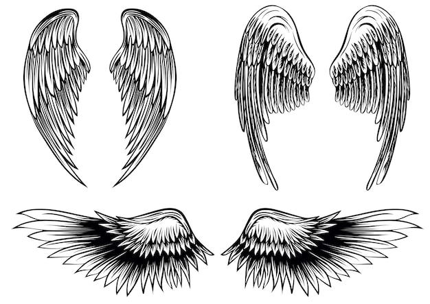 Vector abstract vector illustration wings set