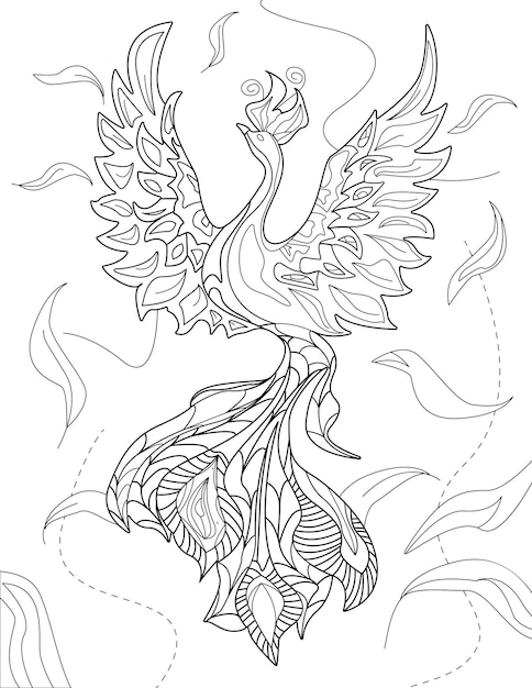Abstract vector line drawing stylized elegant phoenix flowy feather background digital lineart