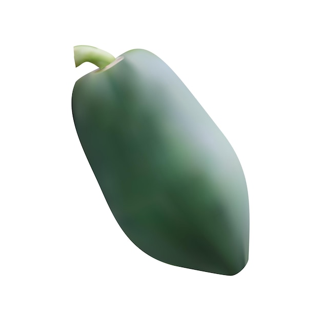 Vettore astratto papaia cruda su sfondo bianco