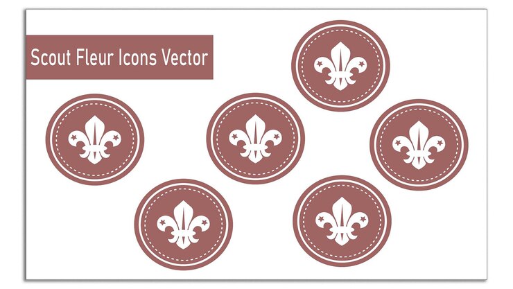 Vector 추상적인 터 집합 설계
