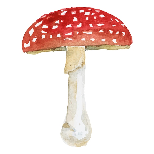 秋のキノコの抽象的なベクトル水彩イラスト手描きの自然デザイン要素が白い背景で隔離