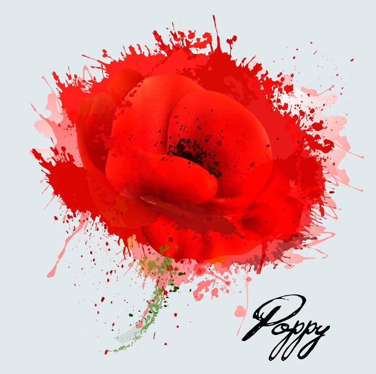 Vector abstract watercolor poppy flower. vector.