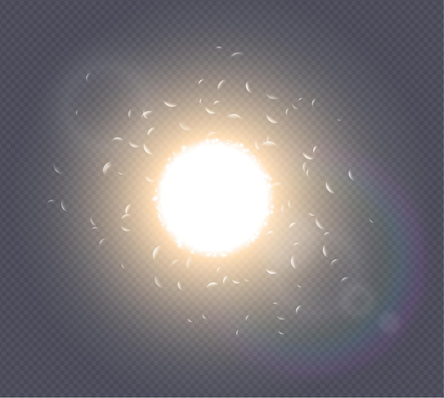 Abstract white explosion spark space modern design. Glow star burst light effect. Supernova futuristic vector on transparent background. Sunlight lens flare. Translucent sun rays and spotlight.