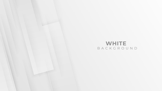 Vector abstract white and gray background geometry shapes