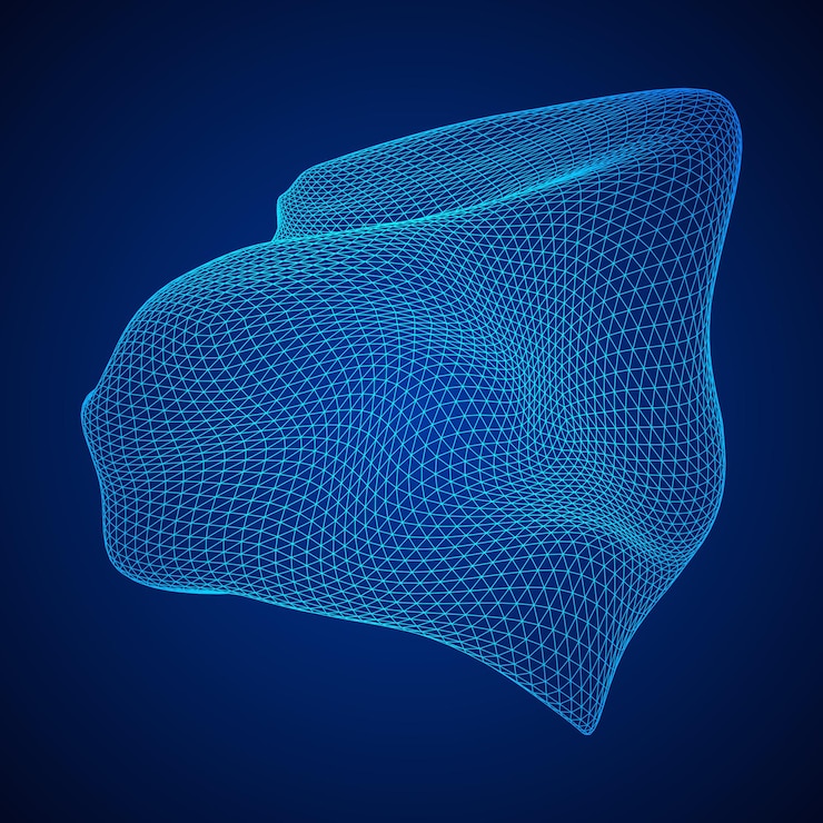 वेक्टर abstract wireframe mesh
