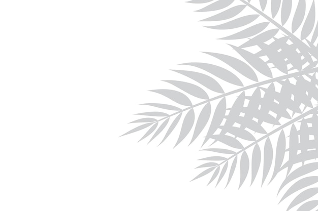 Abstracte achtergrond van palmbladeren of kokosnootbladeren aan de zijkant Natuurlijk patroon grijze schaduw Copy spa