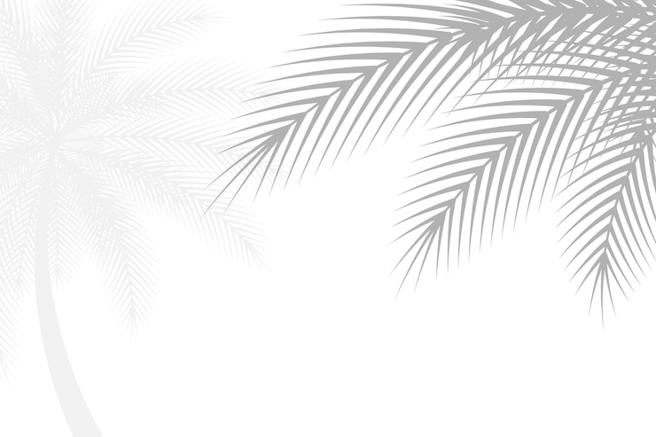 Vector abstracte achtergrond van palmbladeren of kokosnootbladeren natuurlijk patroon grijze schaduw kopieer ruimte