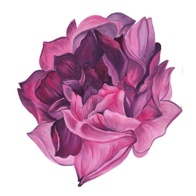 Abstracte Bloem Element Roze Aquarel Achtergrond Illustratie Hoge Resolutie Gratis Foto