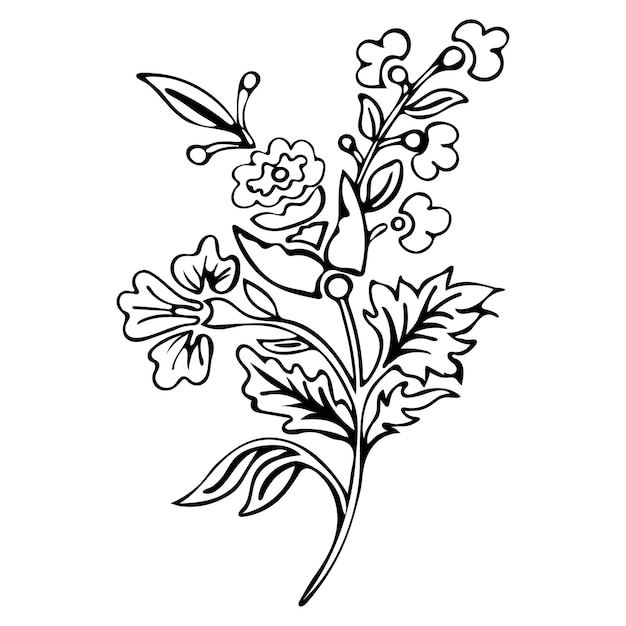 Abstracte bloem kleuren monochroom schets doodle planten zwart-wit vectorillustratie