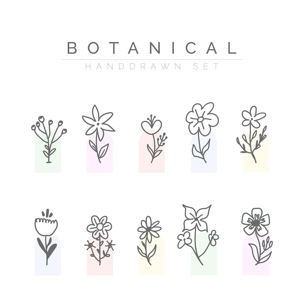 abstracte botanische handgetekende kleurrijke bloem vector set
