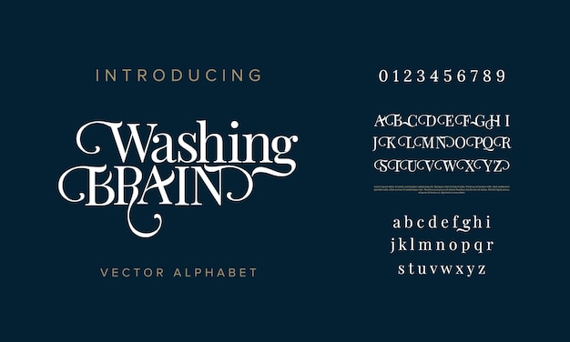 Abstracte bruiloft mode creatieve alfabet Luxe elegante serif-lettertype Creatieve vector lettertype