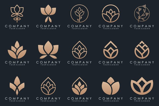 Vector abstracte elegante bloem roos logo icon set