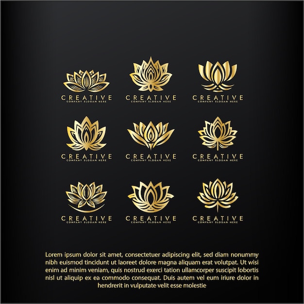 Abstracte lotus icon set vector ontwerp gestileerde lotus bloem logo combinatie ontwerp