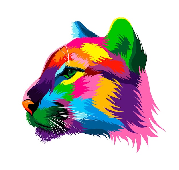 Vector abstracte puma cougar hoofd portret van veelkleurige verven gekleurde tekening vector illustratie