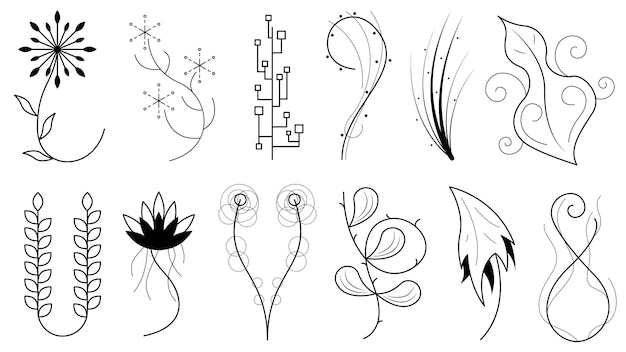 Vector abstracte set doodle handgetekende collectie botanische kruiden flora blad tak wijnstok bloem planten